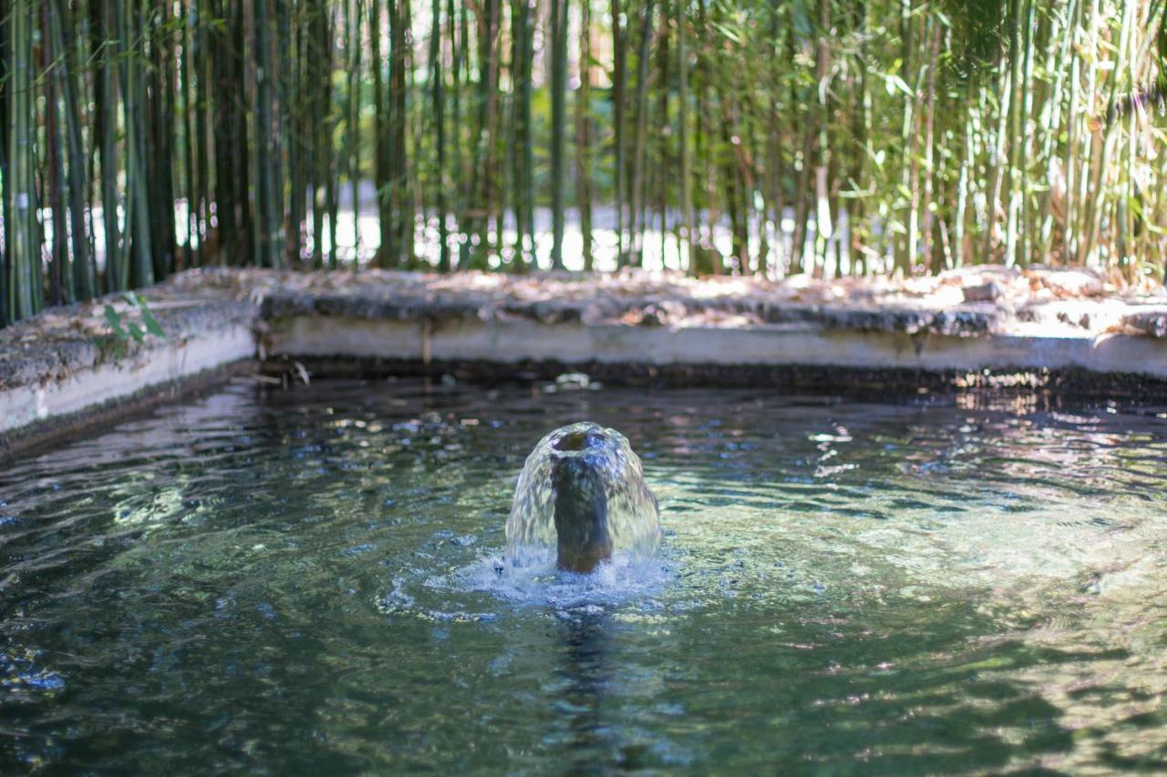 Las Aguas Del Arbuniel Con Pista De Padel Exteriör bild
